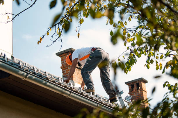 Best Commercial Roofing Services  in Nescopeck, PA