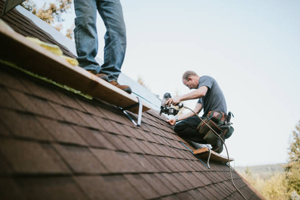 Best Roof Restoration Services  in Nescopeck, PA
